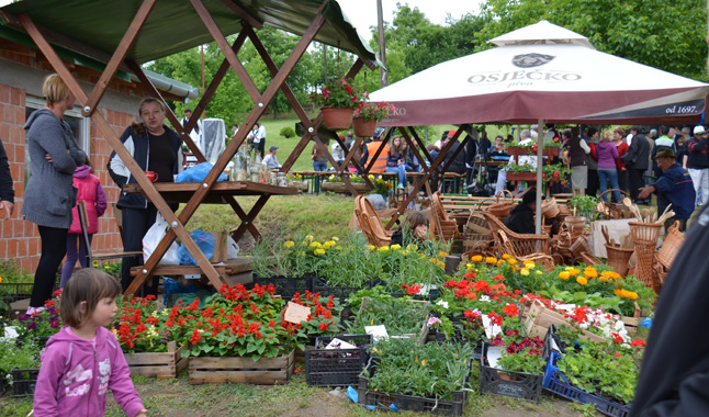 06-viragfesztival-3