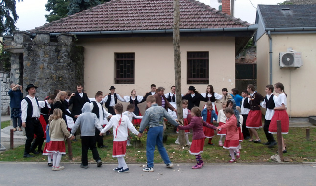 majusfakitancolascsuzan2