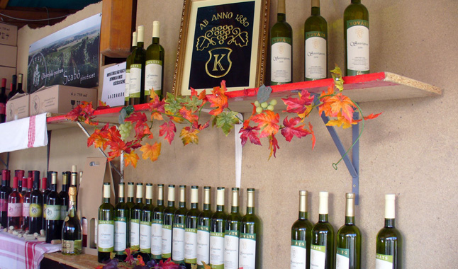 1276570_695894037107008_486166366_o