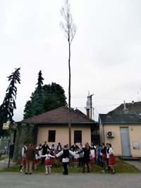 dravaszogi-ertekek-majusfakitanc