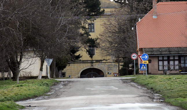 knezevo2