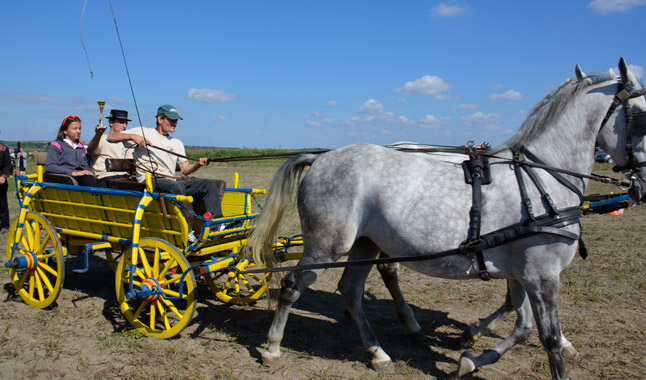 szureti-napok-fogathajto-1